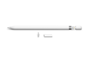 Apple Pencil 1st Generation